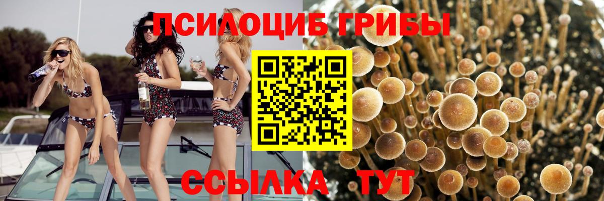 Псилоцибиновые грибы MAGIC MUSHROOMS  Галлюциногенные грибы ЛСД  Каменка  Вход с VPN 